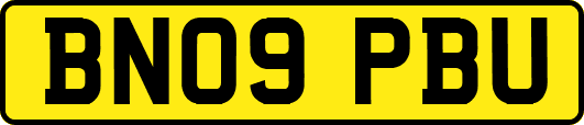 BN09PBU