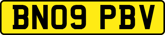BN09PBV