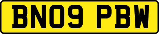 BN09PBW