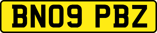 BN09PBZ