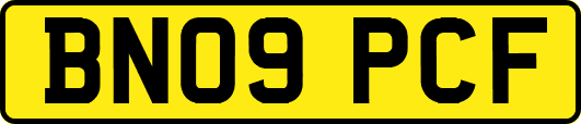 BN09PCF