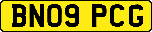 BN09PCG