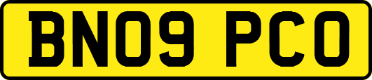 BN09PCO