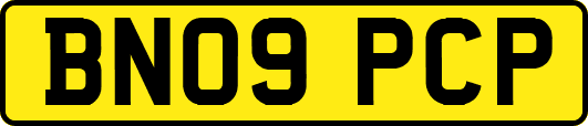 BN09PCP