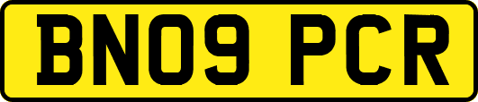 BN09PCR