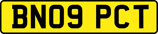 BN09PCT