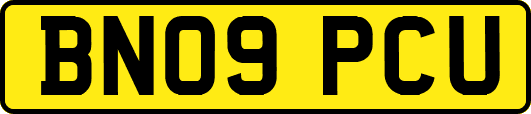 BN09PCU