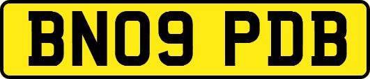 BN09PDB