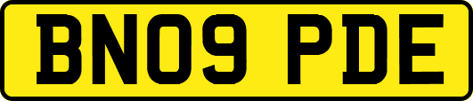 BN09PDE