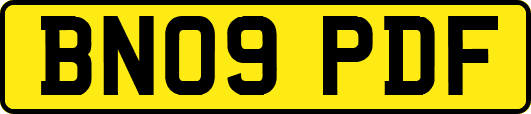 BN09PDF