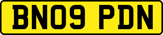 BN09PDN