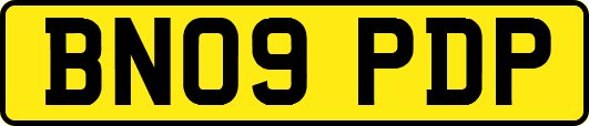 BN09PDP