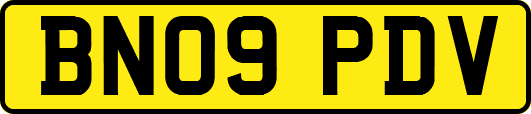 BN09PDV