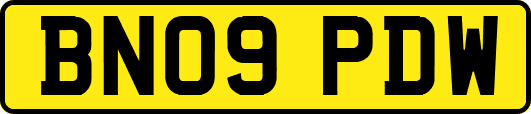 BN09PDW