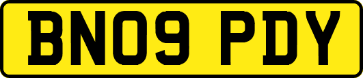 BN09PDY