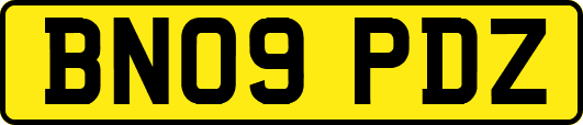 BN09PDZ