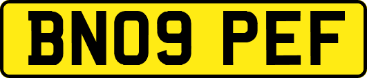 BN09PEF