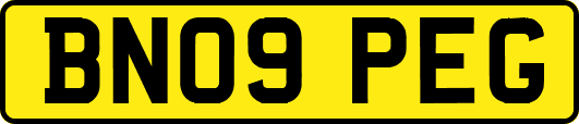 BN09PEG