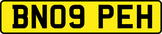 BN09PEH