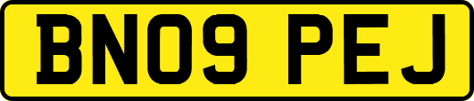BN09PEJ