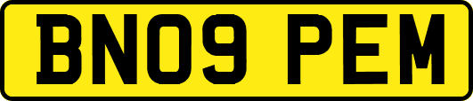 BN09PEM