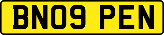 BN09PEN