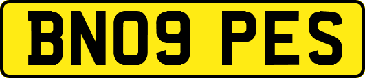 BN09PES