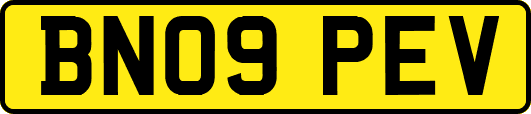 BN09PEV