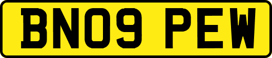 BN09PEW
