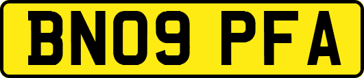 BN09PFA