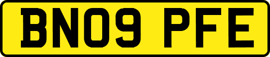 BN09PFE