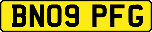 BN09PFG
