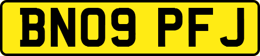 BN09PFJ