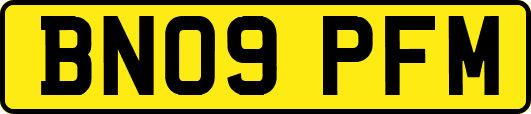 BN09PFM