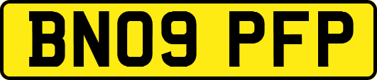 BN09PFP
