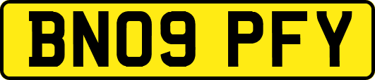 BN09PFY
