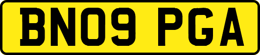 BN09PGA