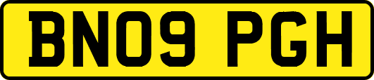 BN09PGH
