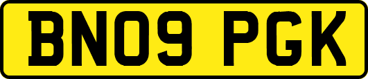BN09PGK