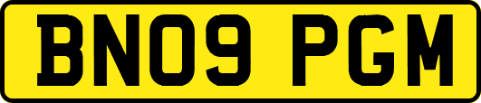 BN09PGM