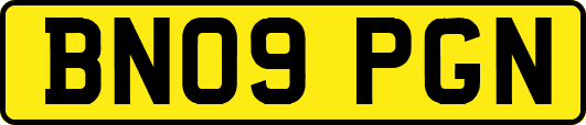 BN09PGN