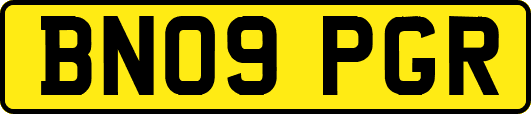 BN09PGR