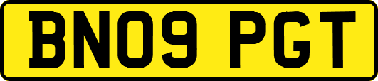 BN09PGT
