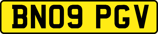 BN09PGV