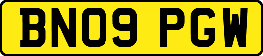 BN09PGW