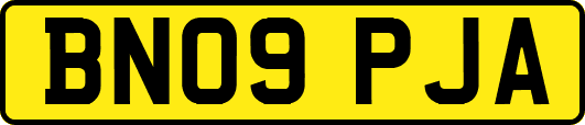 BN09PJA