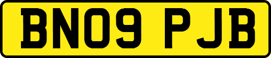 BN09PJB