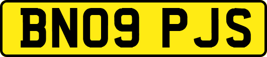 BN09PJS