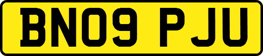 BN09PJU