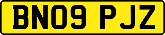 BN09PJZ